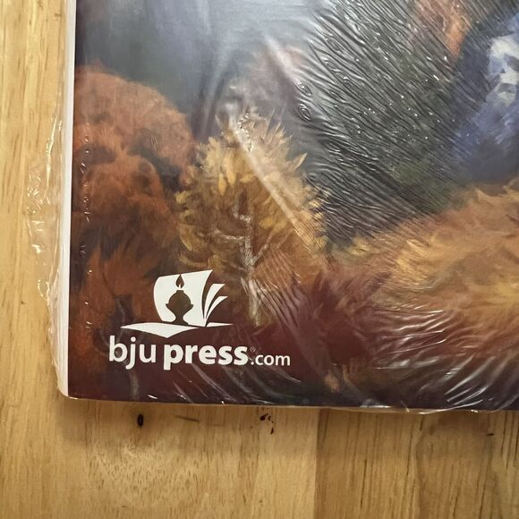 BJU Bob Jones Reading 5 Quests Activities Answer Key Homeschool Curriculum - Picture 6 of 6